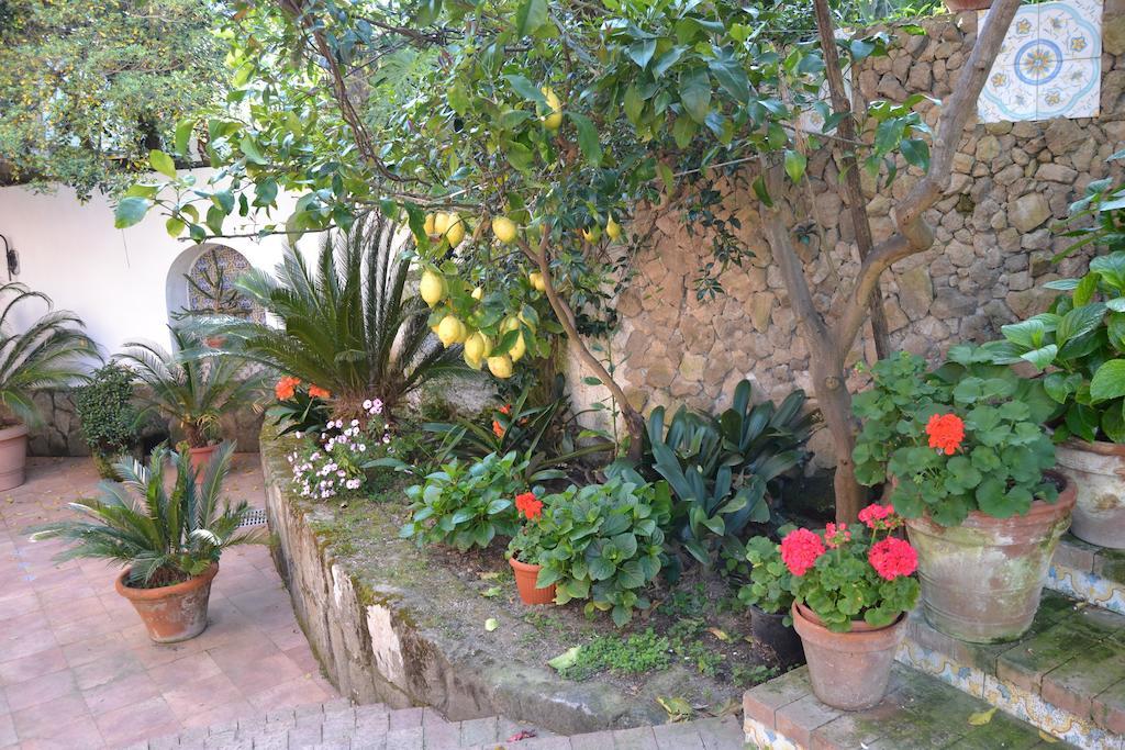 Piccolo Tirreno Hotel Residence Procida Eksteriør bilde